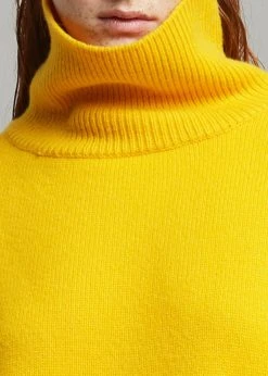 The Frankie Shop Joya Roll Neck Sweater - Marigold CLOTHING